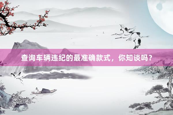 查询车辆违纪的最准确款式，你知谈吗？