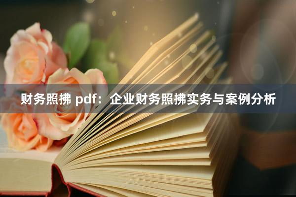 财务照拂 pdf：企业财务照拂实务与案例分析