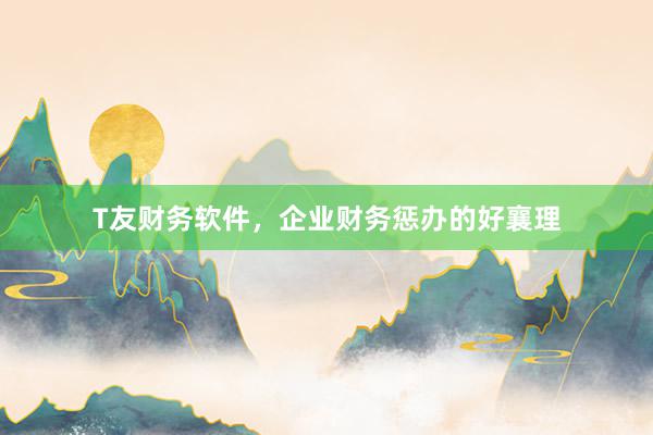 T友财务软件，企业财务惩办的好襄理